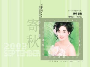 恋恋青梅(十二客花图秋之诗之三)