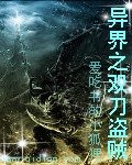 異界之雙刀盜賊